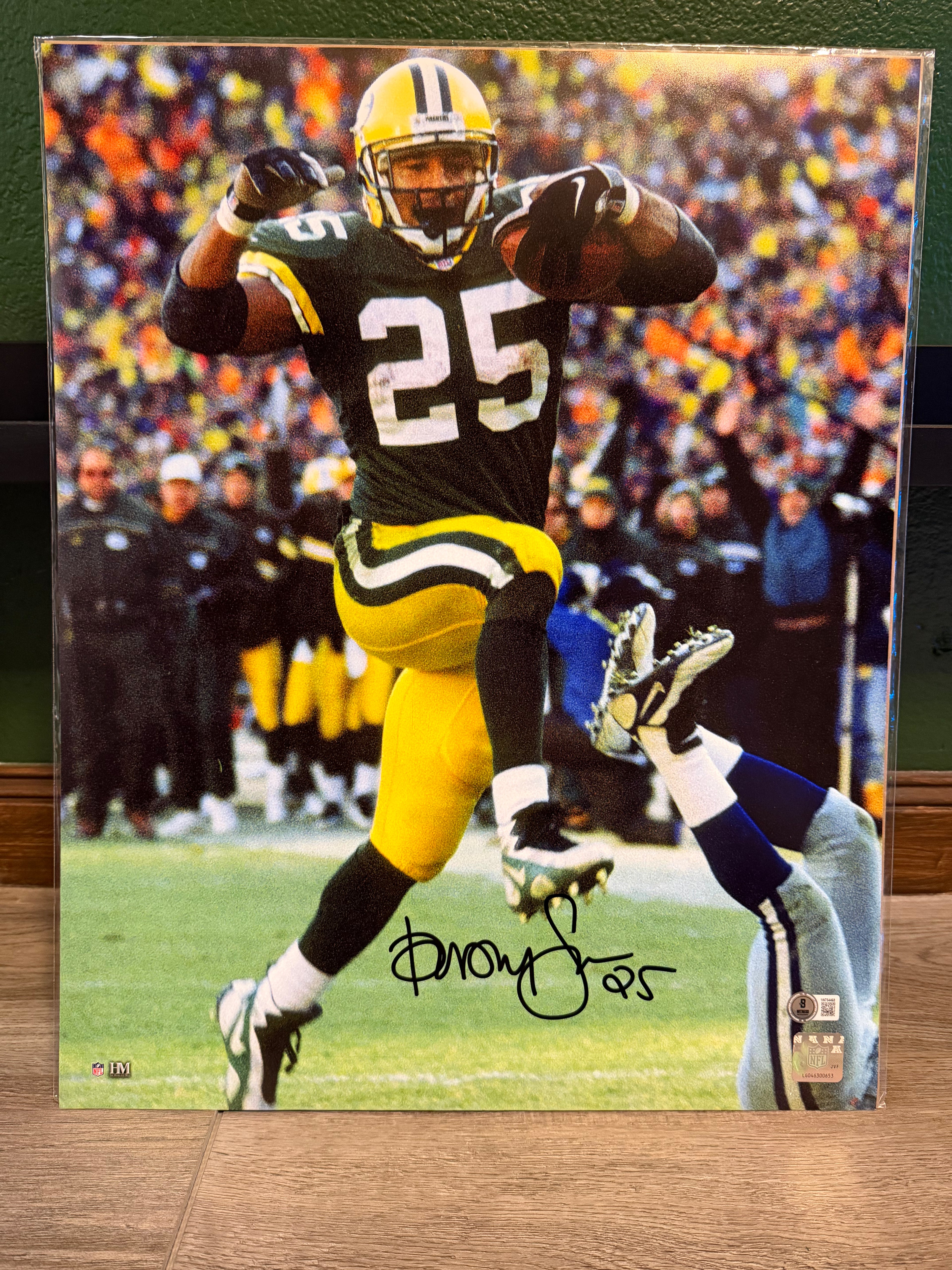 Dorsey Levens Signed 16x20